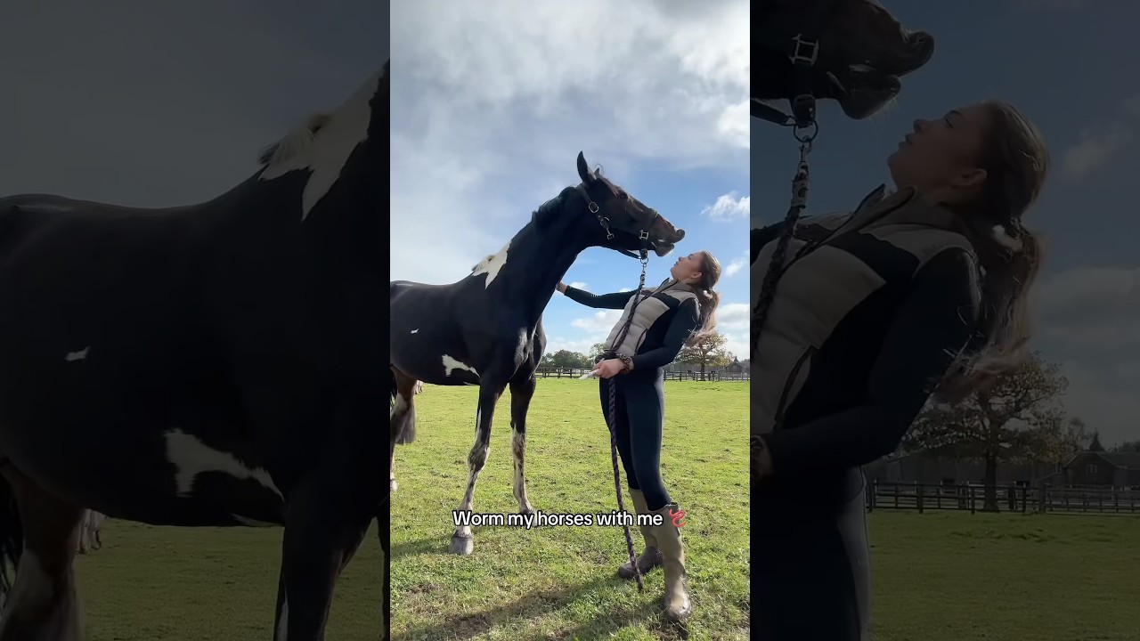 My LEAST favourite job 🪱 #equestrian #horse #youtubeshorts #funny #trending #subscribe #worming