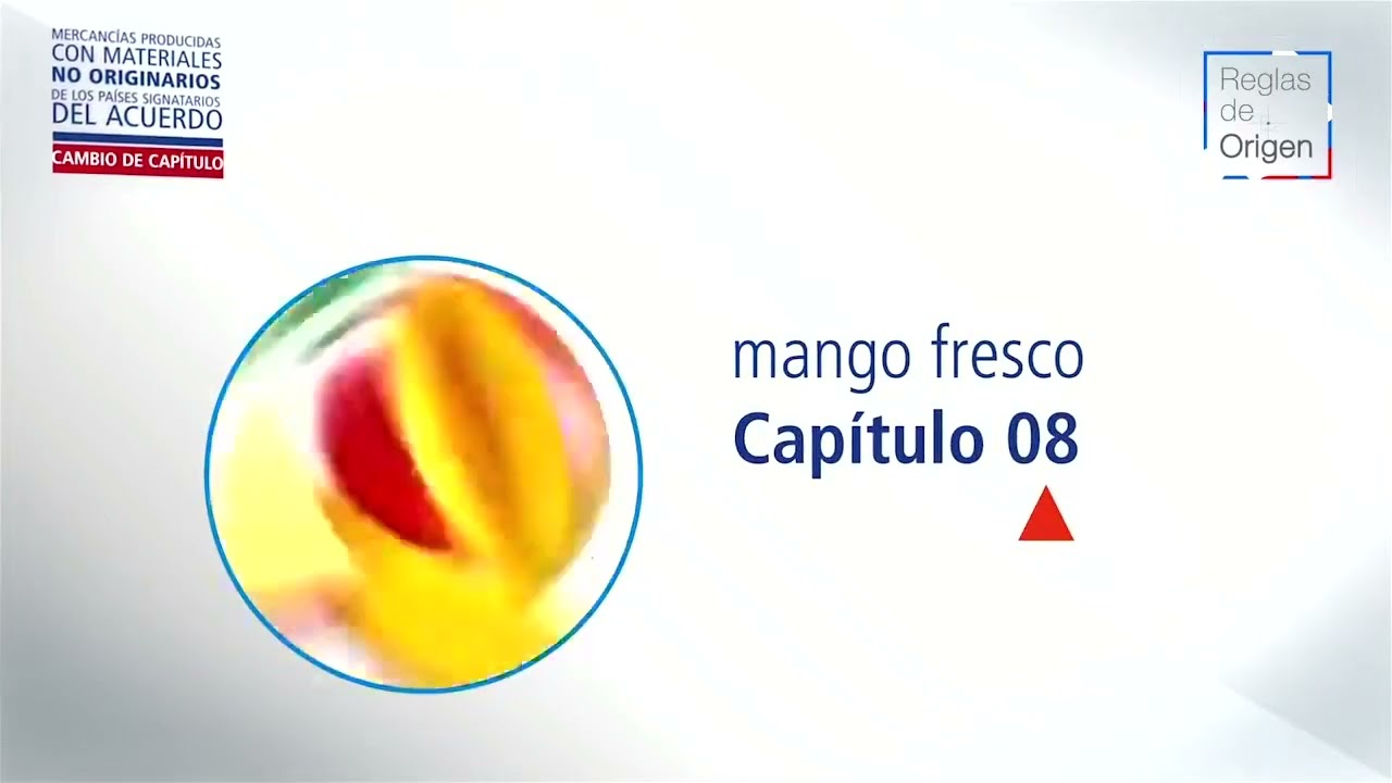 Reglas Origen