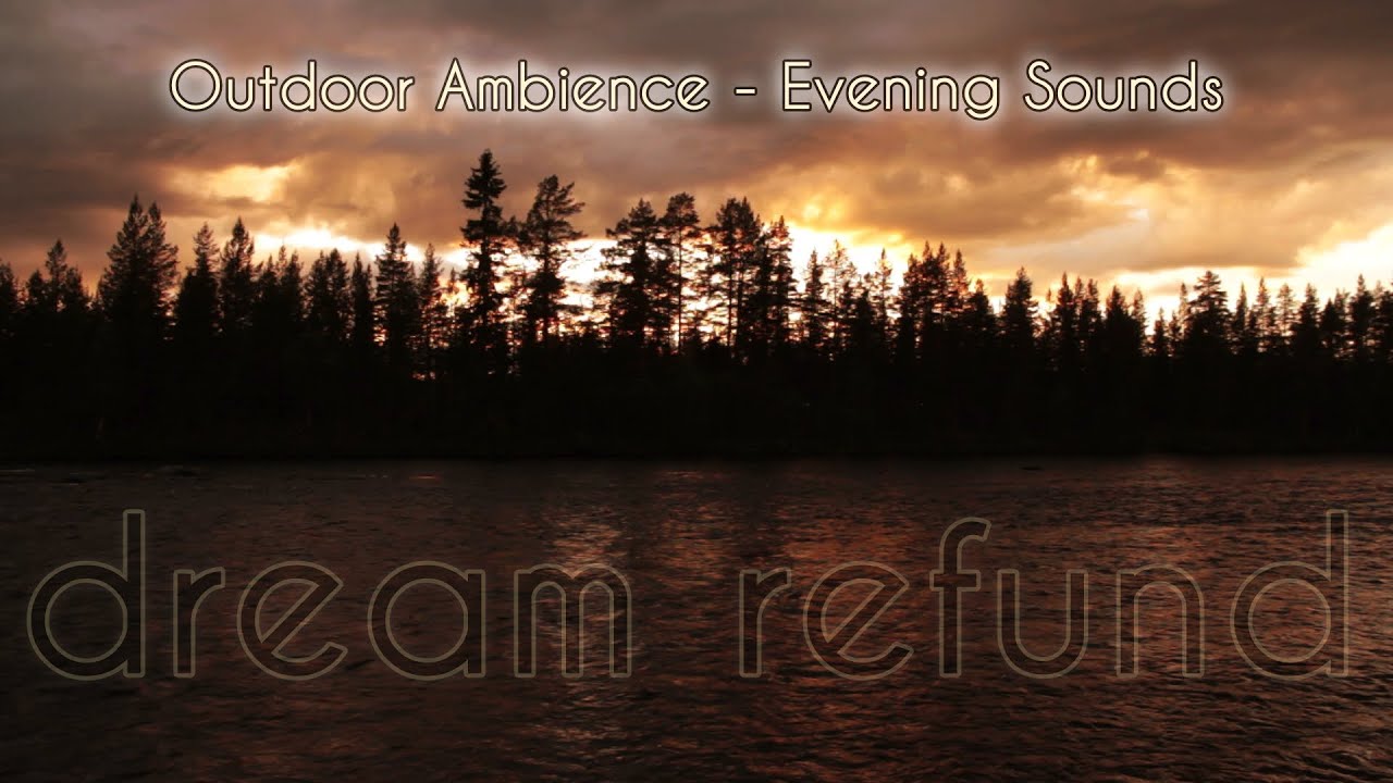 Outdoor Ambience - Evening Sounds - 1 Hour