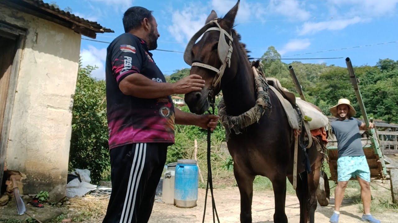 Esse é o nosso trator aqui na roça 