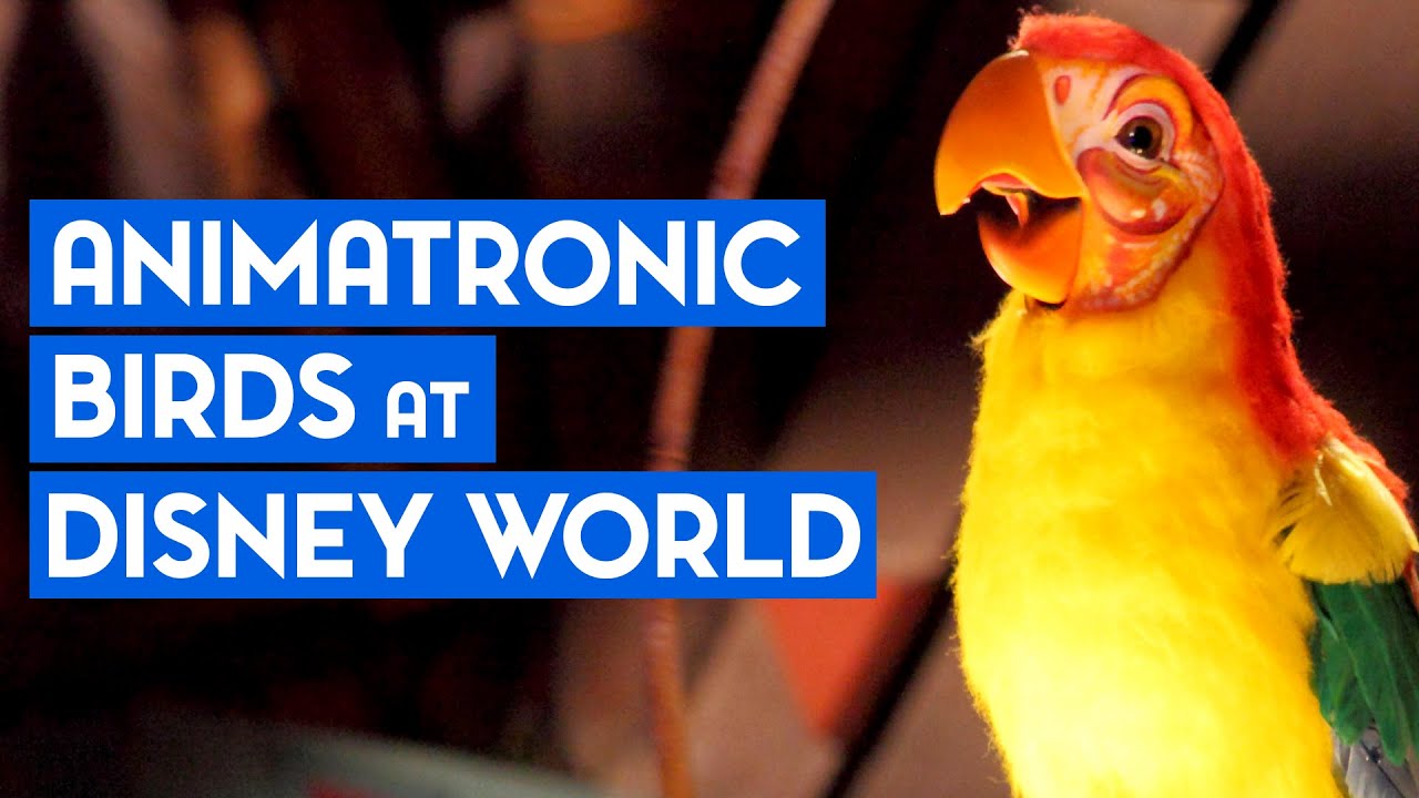 How Many Animatronic Birds are at Disney World?