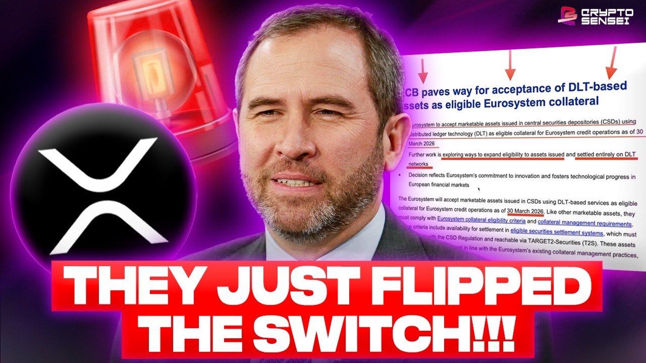 XRP получил зелёный свет!! Они переключили тумблер *за одну ночь*?!? (Это видео важно)