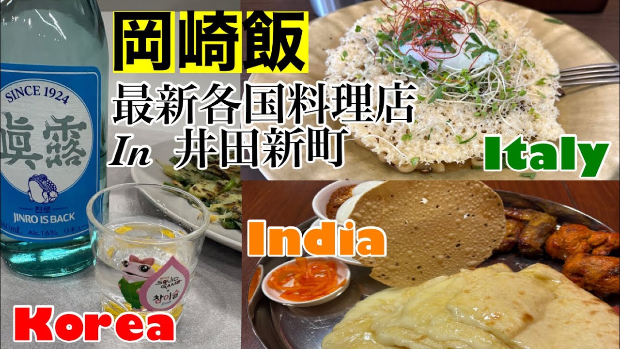 【岡崎グルメ】国道248付近　井田新町の最新各国料理店をまわってみよう🇮🇳🇮🇹🇰🇷【IWGP】