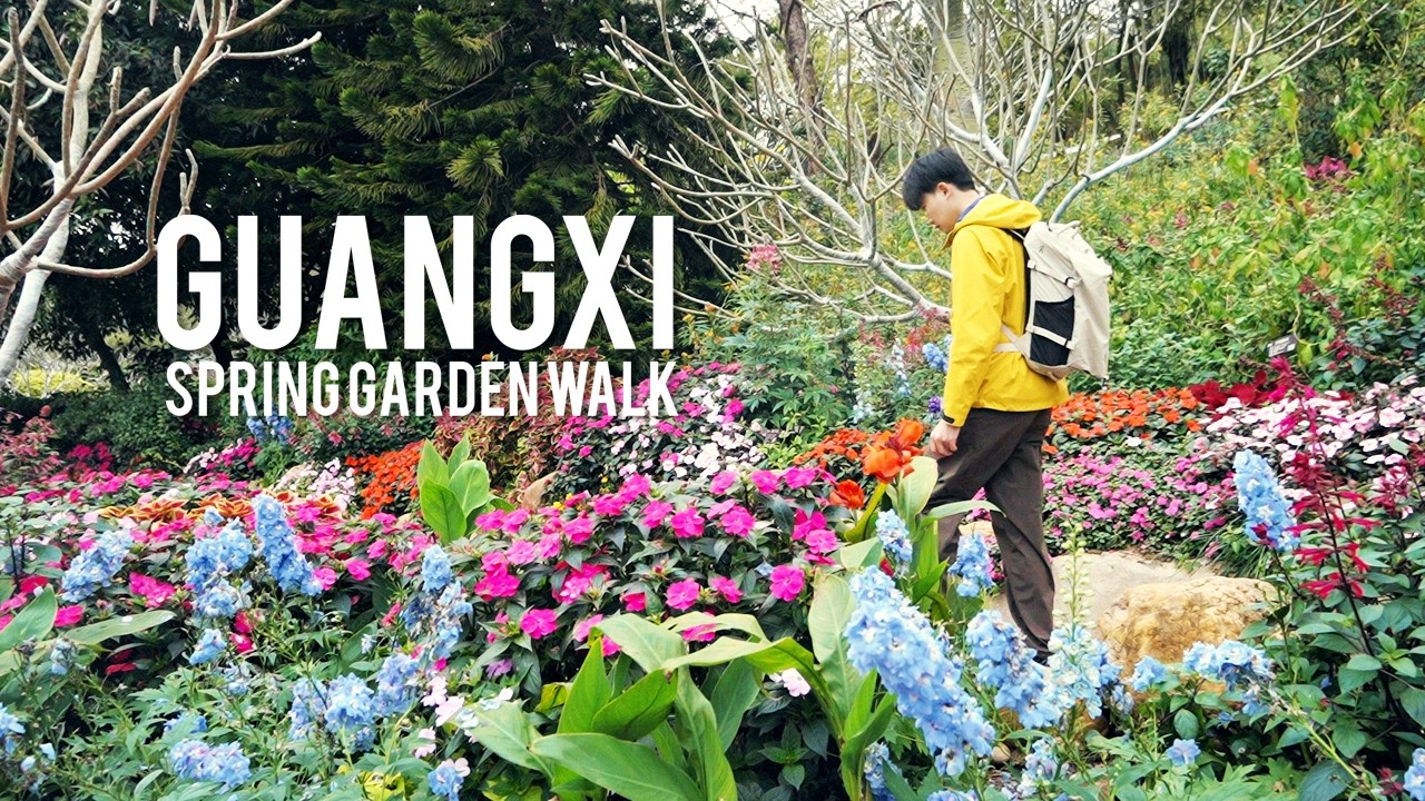 Bougainvillea Garden Walk in Nanning | Qingxiu Mountain Flowers | China Travel VLOG