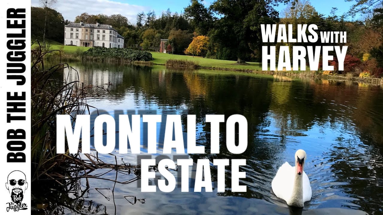 Walks with Harvey - Montalto Estate