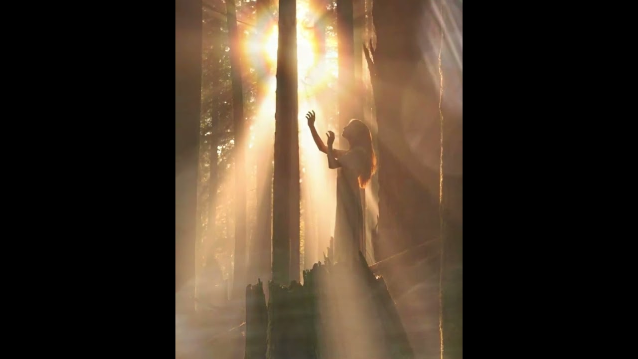 I forgive you for me By: Good Vibes Tribe 11:11