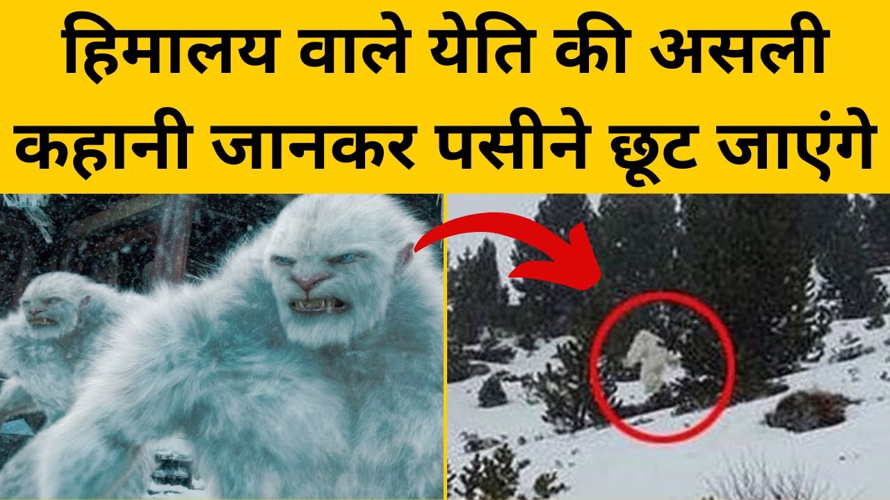 जानिए हिममानव का पूरा और असली रहस्य | Yeti ki kahani | Him Manav in Himalaya | Himmanav Indian Army