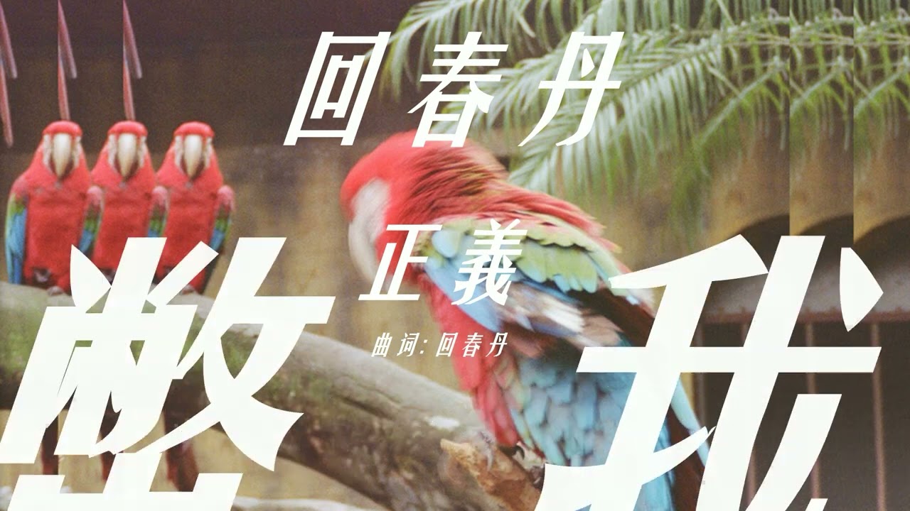 【動態歌詞】正義 - 回春丹 YOUNG DRUG