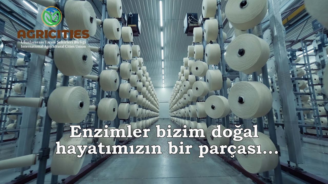 Enzim Üretim Tarihi