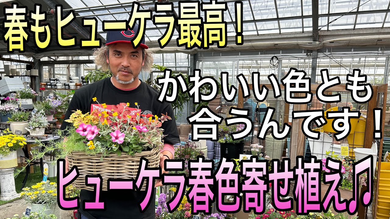 【寄せ植え】春もヒューケラがいい！渋色が春色にも合う♬
