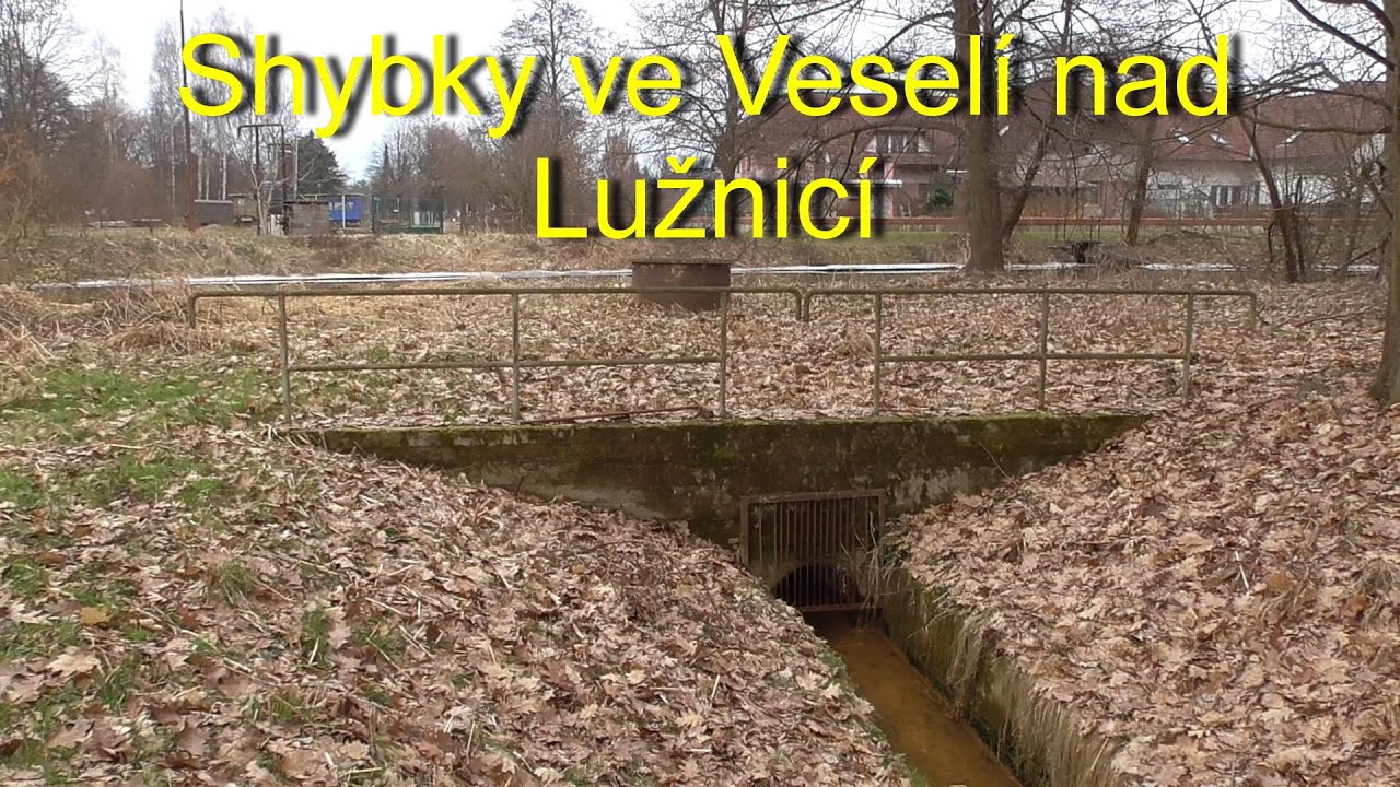 Shybky ve Veselí nad Lužnicí