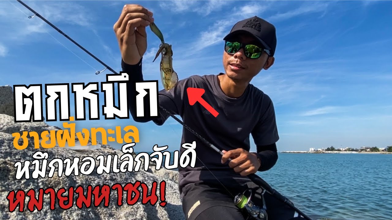 ตกหมึกชายฝั่ง หมายมหาชน! หาดแสงจันทร์ ระยอง หมึกหอมเล็กจับดีมาก?