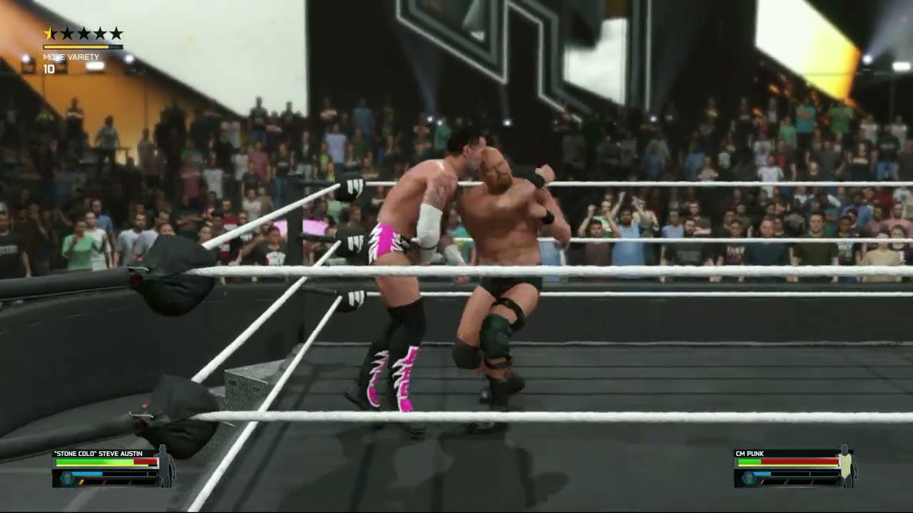 STONE COLD VS  CM PUNK