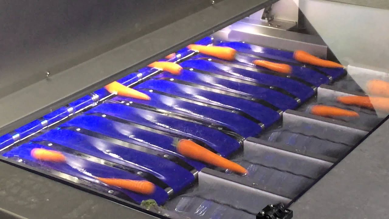 Newtec Celox C-UHD 6+1 Optical Size and Quality Grader