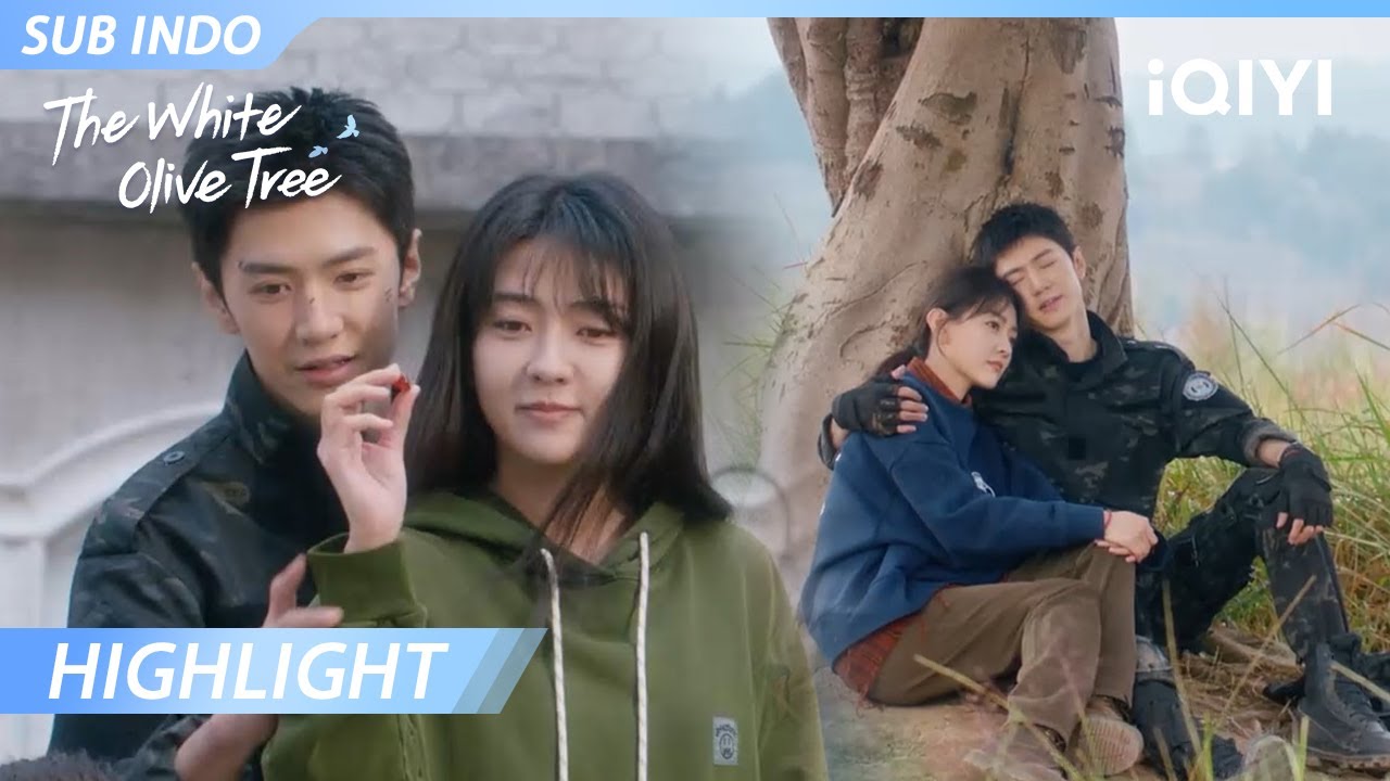 【Highlight】Pasangan romantis yang bikin baper banget | The White Olive Tree | iQIYI Indonesia