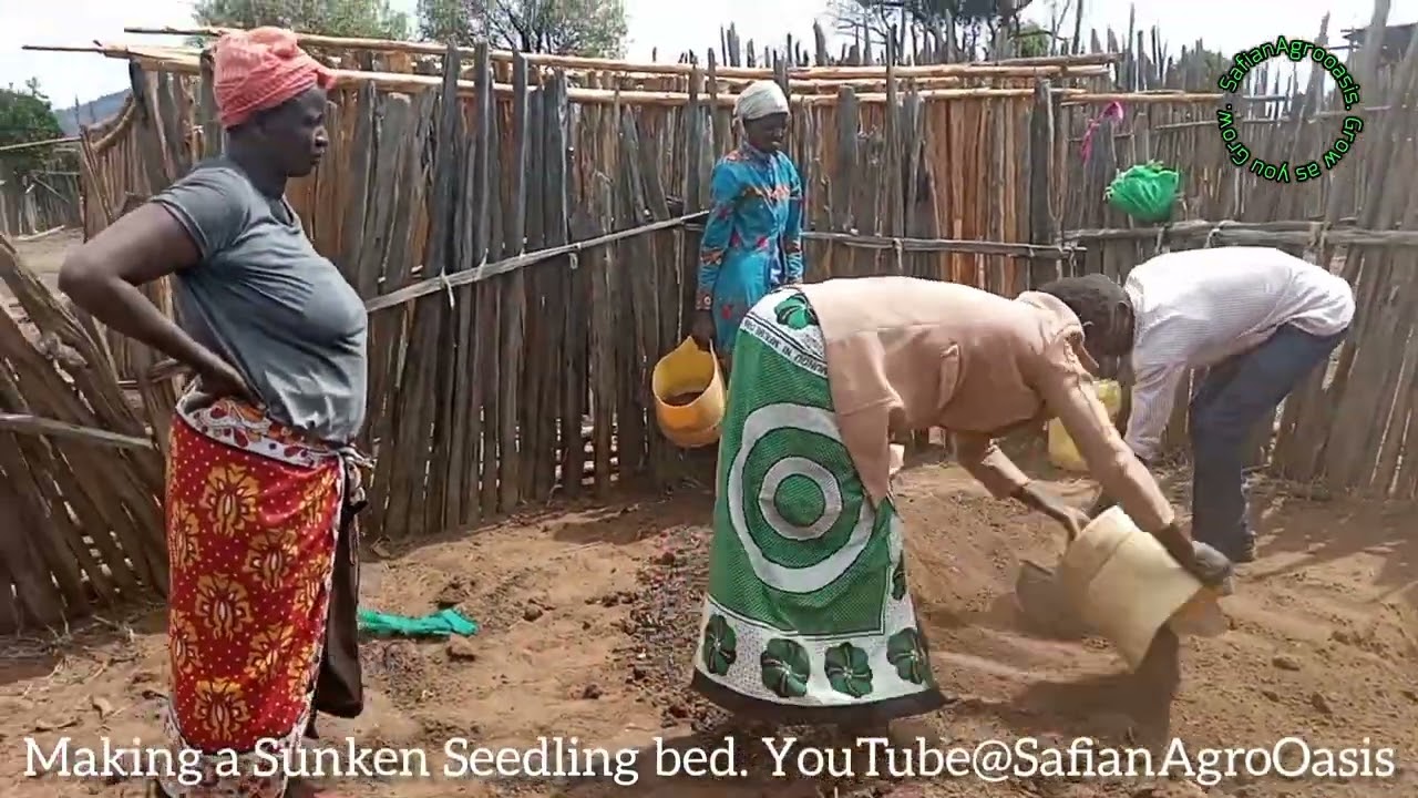 MAKING A SUNKEN SEEDLING BED.