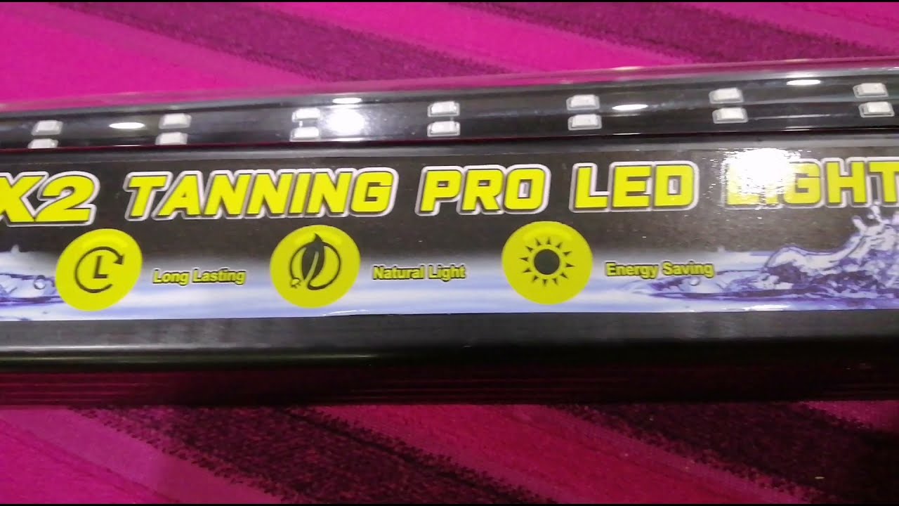 AQUANICE X2 TANNING PRO LED LIGHT FOR MY SUPER RED AROWANA