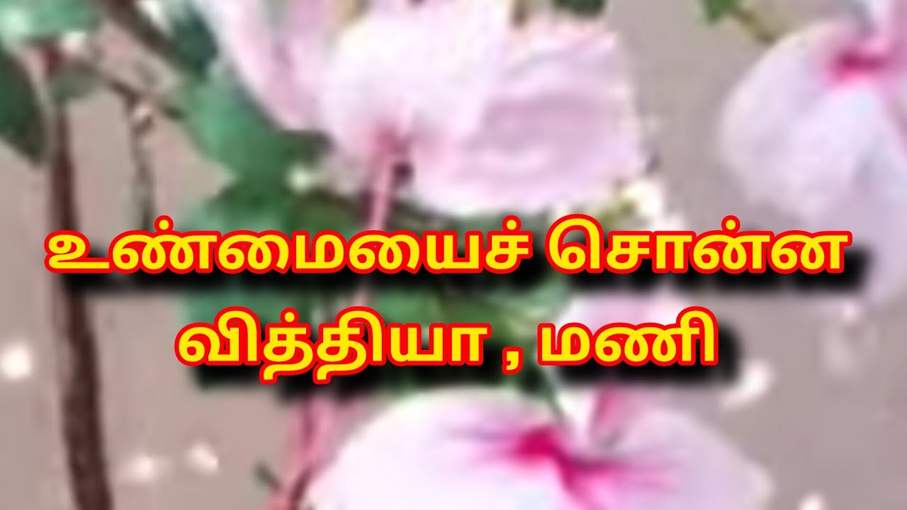 Siragadikka Aasai Prediction |9th to 10th February 2026|உண்மையைச் சொன்ன வித்தியா,மணி |என் கணிப்பு  