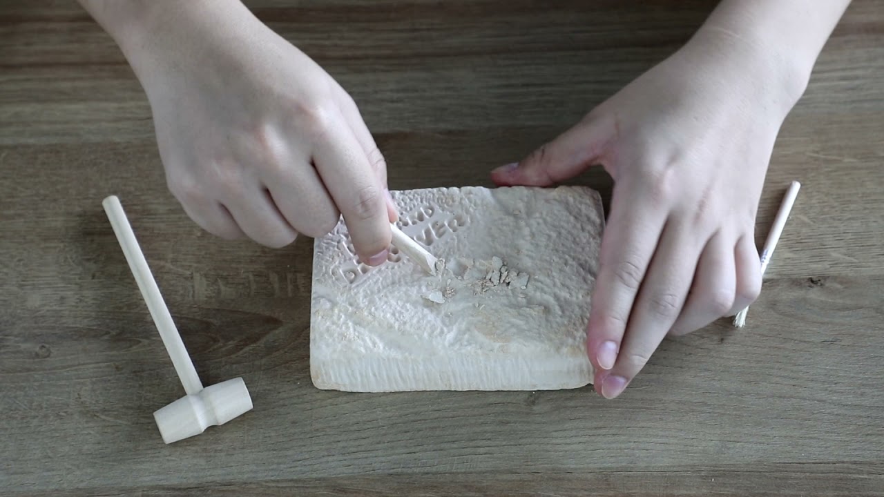 D7139 T.Rex Dig Kits
