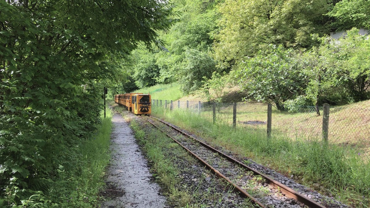 Tren minero de vuelta