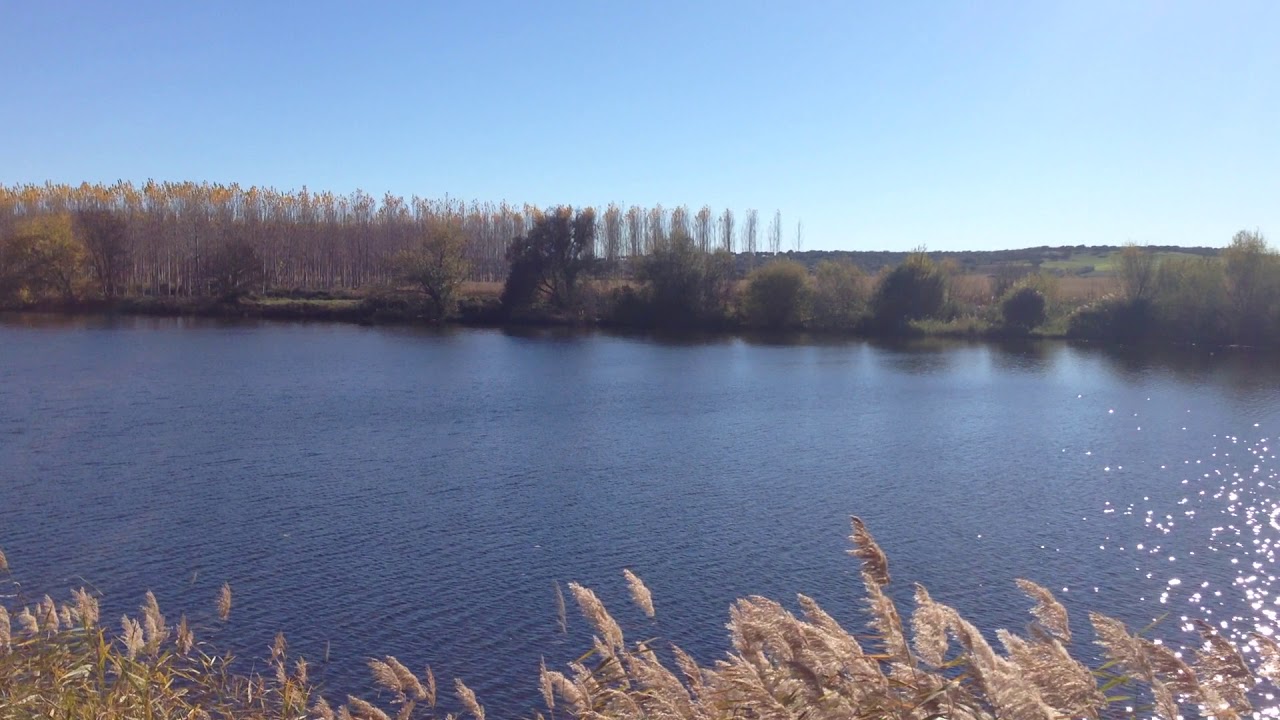 R&iacute;o Tormes en la finca de Valcuevo