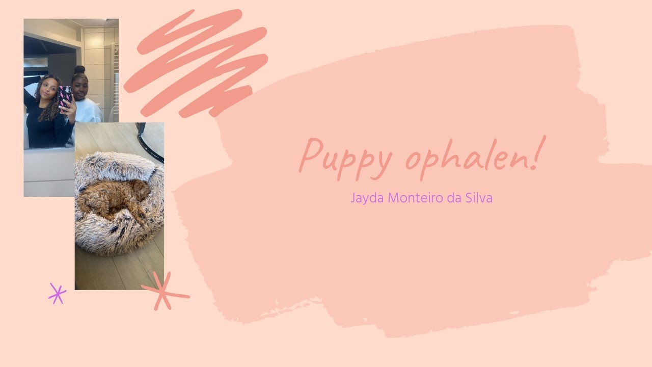 WEEKENDJE WEG & PUPPY OPHALEN! | Jayda Monteiro da Silva