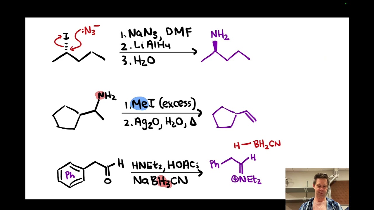Synthesis and Reactions of Amines | LTQ 9.1, Spring 2024