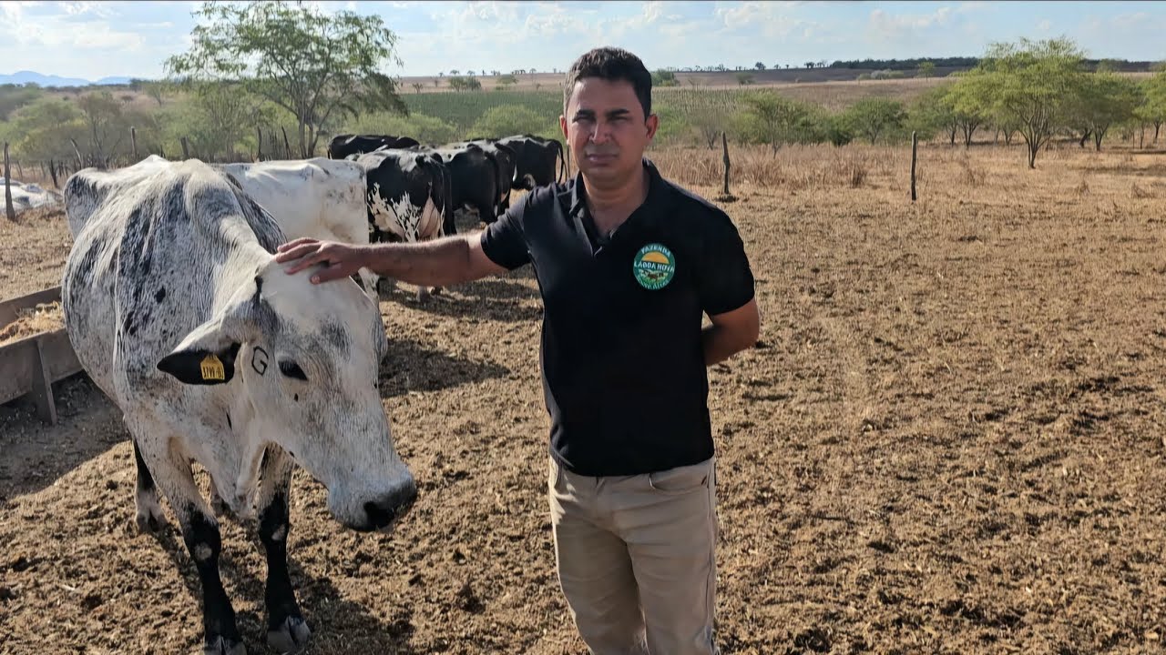 GIROLANDAS DE MAIS DE 50L DIA DA FAZENDA LAGOA NOVA BRUNO ALVES | COMO SUPERAR A CRISE