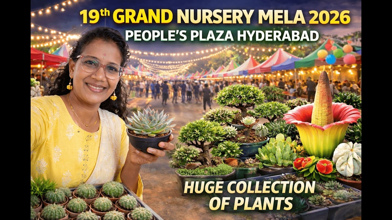 🌿 19th Grand Nursery Mela 2026 | Rare Plants Paradise at Necklace Road Hyderabad