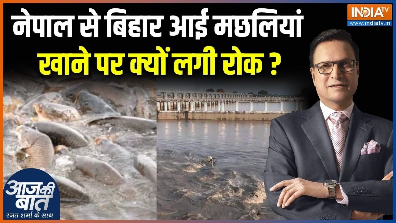 Gandak River Fish Row : नेपाल से बिहार आई मछलियां खाने पर क्यों लगी रोक? | Nepal Flood | Bihar News