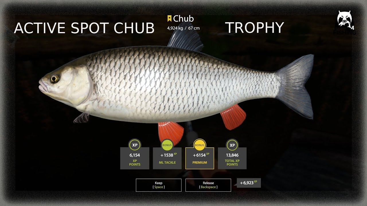 Russian Fishing 4 RF4 Winding Rivulet  |Active spot Chub +TROPHY