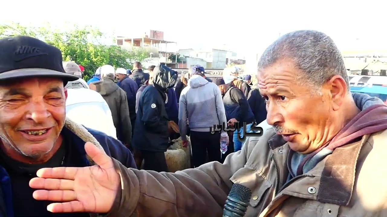 لمحة على اسعار العلوش في رحبة بنزرت #تونس #اكسبلور #2025 #ترند #news #اسعار #عيد#علوش