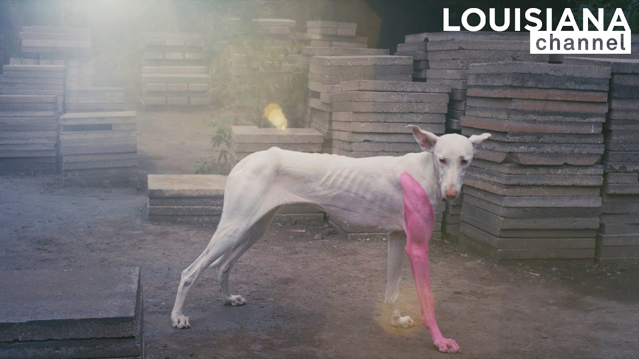 Artist Pierre Huyghe: 