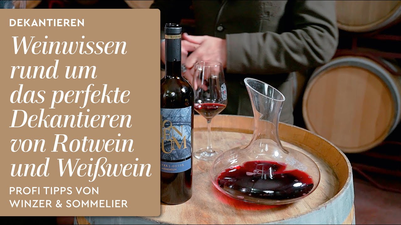 Dekantieren - Rotwein & Weißwein. Wein im Dekanter servieren. Anleitung mit Profi Tipps. Weinwissen!