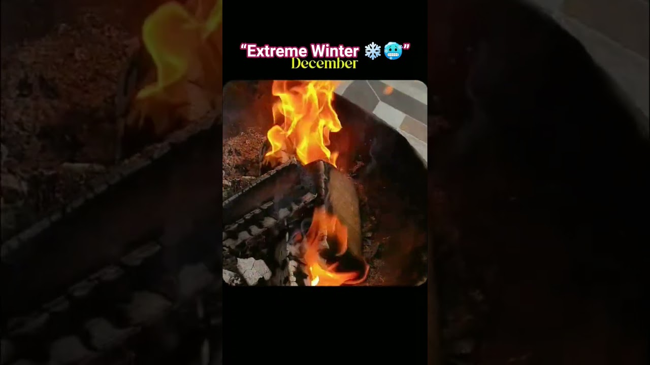 “Extreme Winter ❄️🥶”