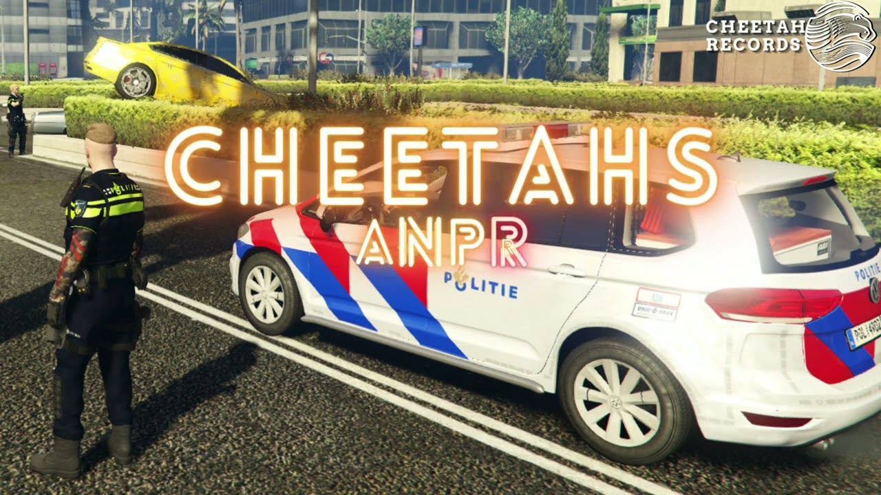 Cheetahs - ANPR