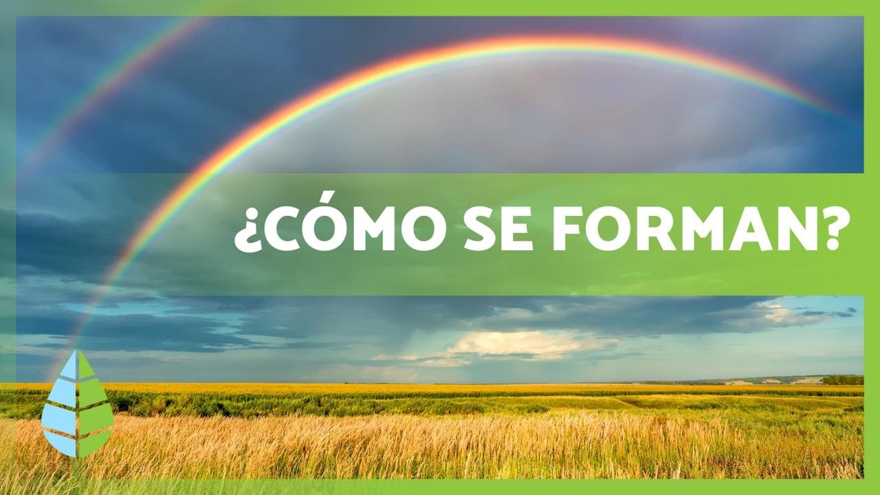 ¿Qué es un ARCOÍRIS? 🌈 Cómo se forma y tipos de ARCO ÍRIS
