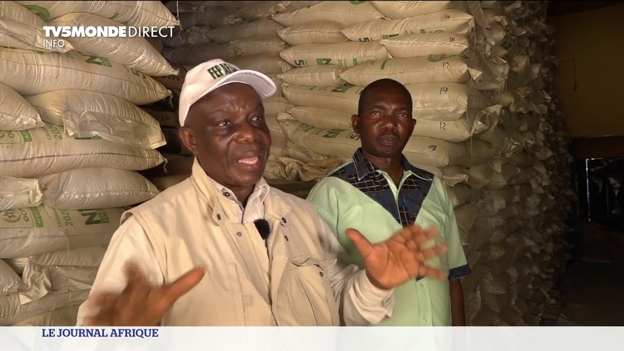 Guinée : le défi de la transformation de l'ananas