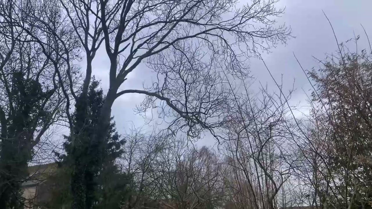 Ciel de traîne de la tempête Nils du 12 février 2026￼
