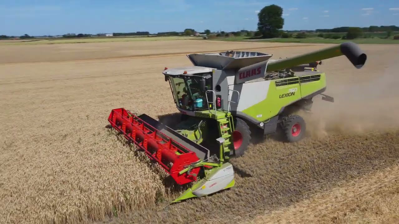 Harvesting winter wheat with Delanoye - Claas LEXION 760 –