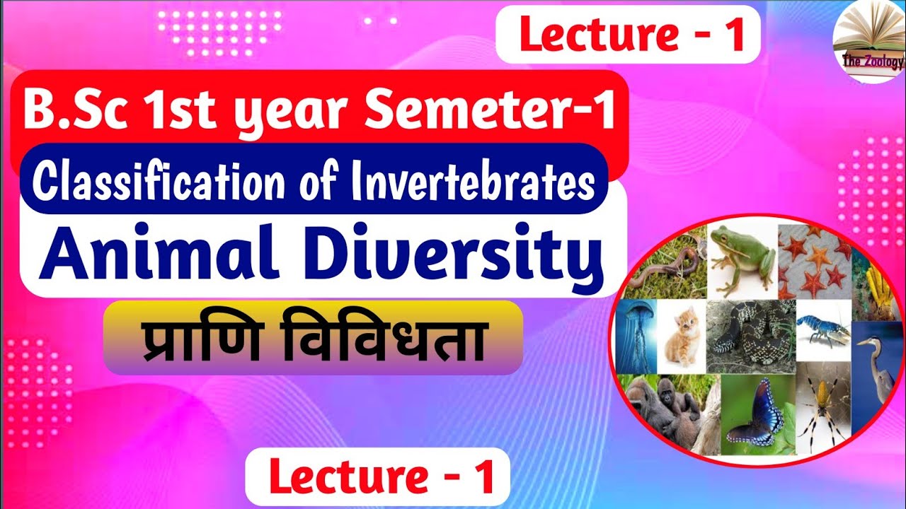 animal diversity bsc zoology | animal classification bsc 1st year