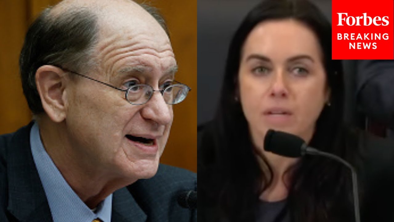 Brad Sherman To Witness: 'Does The Shuttering Of USAID Cause A Problem?'