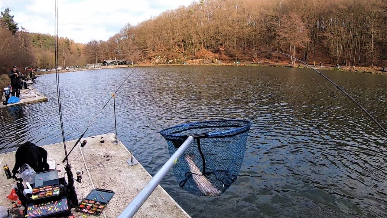 Крайняя форелевая рыбалка 2020. Wallerstube Obersteinebach.Trout Area.