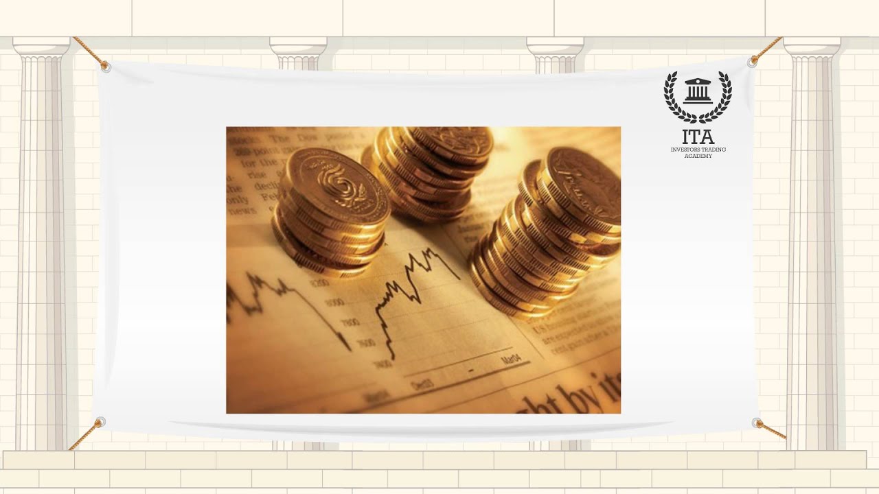 What are Treasury Securities?