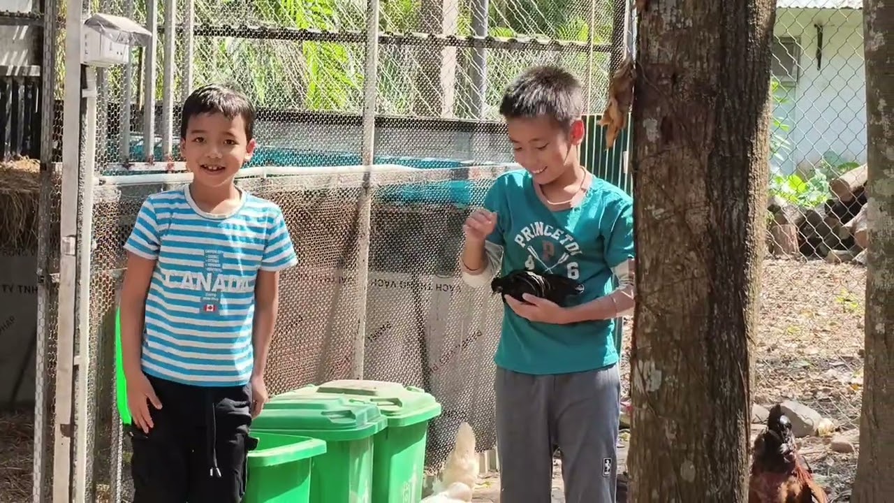 Mong 4 (Binh Ngo) cua Tom Tit.