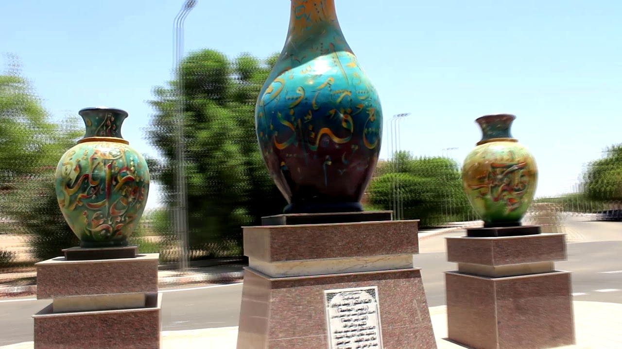 جامعة جنوب الوادى