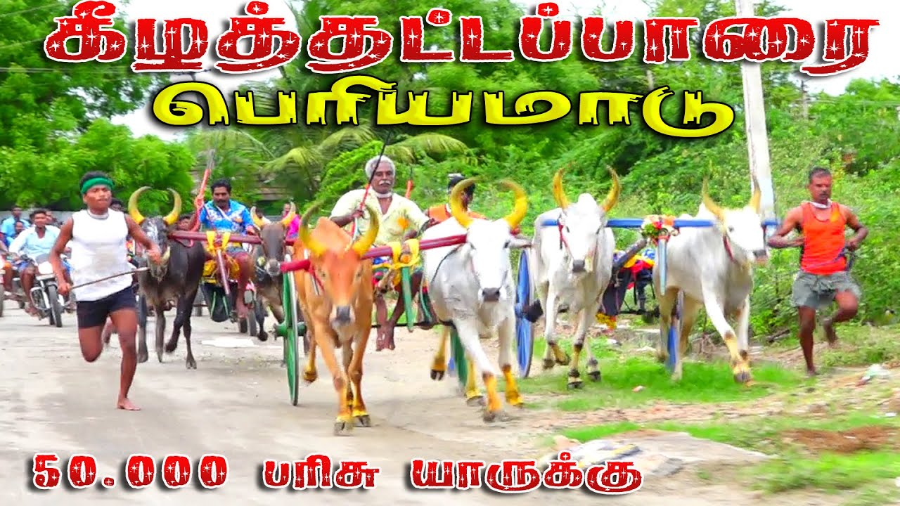 தூத்துக்குடி(மா) கீழதட்டப்பாறை 50.000 பந்தயம்