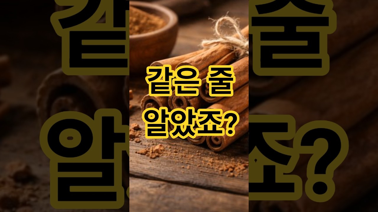 계피와 시나몬, 같은 줄 알았죠?