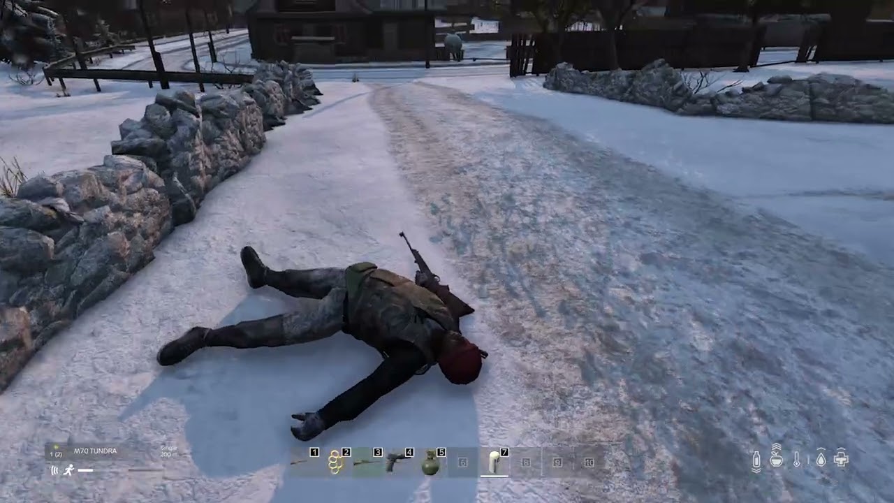 DayZ - Zero servers are always fun to play