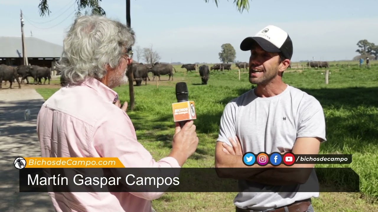 Martín Gaspar Campos, responsable del tambo de búfalas y Lácteos La Delfina
